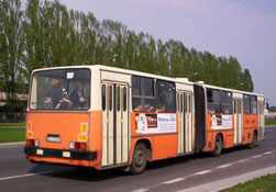 IKARUS 280 - foto: Przemysaw Bakaj